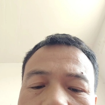 精品优质鸡蛋箱