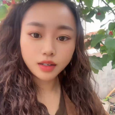 汉源黑樱桃时令水果供应上市，甜到心美到醉，想要的老板联系