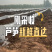标准青芦笋标笋25公分