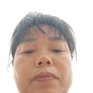 精品蕨菜大量供应对接全国各地支持视频看货欢迎来电