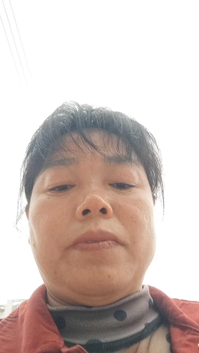 精品蕨菜大量供应对接全国各地支持视频看货欢迎来电