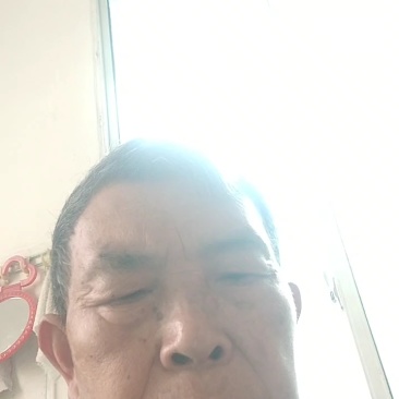 椪柑苗，柑橘苗，新品种无剌椪柑苗，果大味甜。