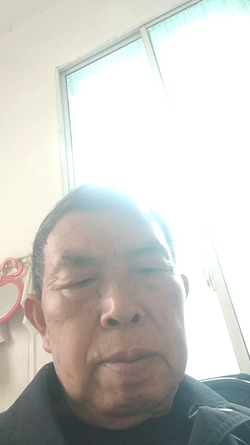 椪柑苗，柑橘苗，新品种无剌椪柑苗，果大味甜。