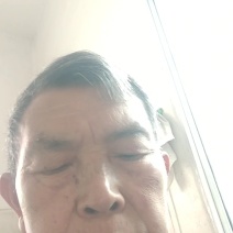 枇杷苗，解放钟，平均单果重80克。
