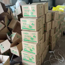 博洋九甜瓜大量现货，对接全平台电商多多仓