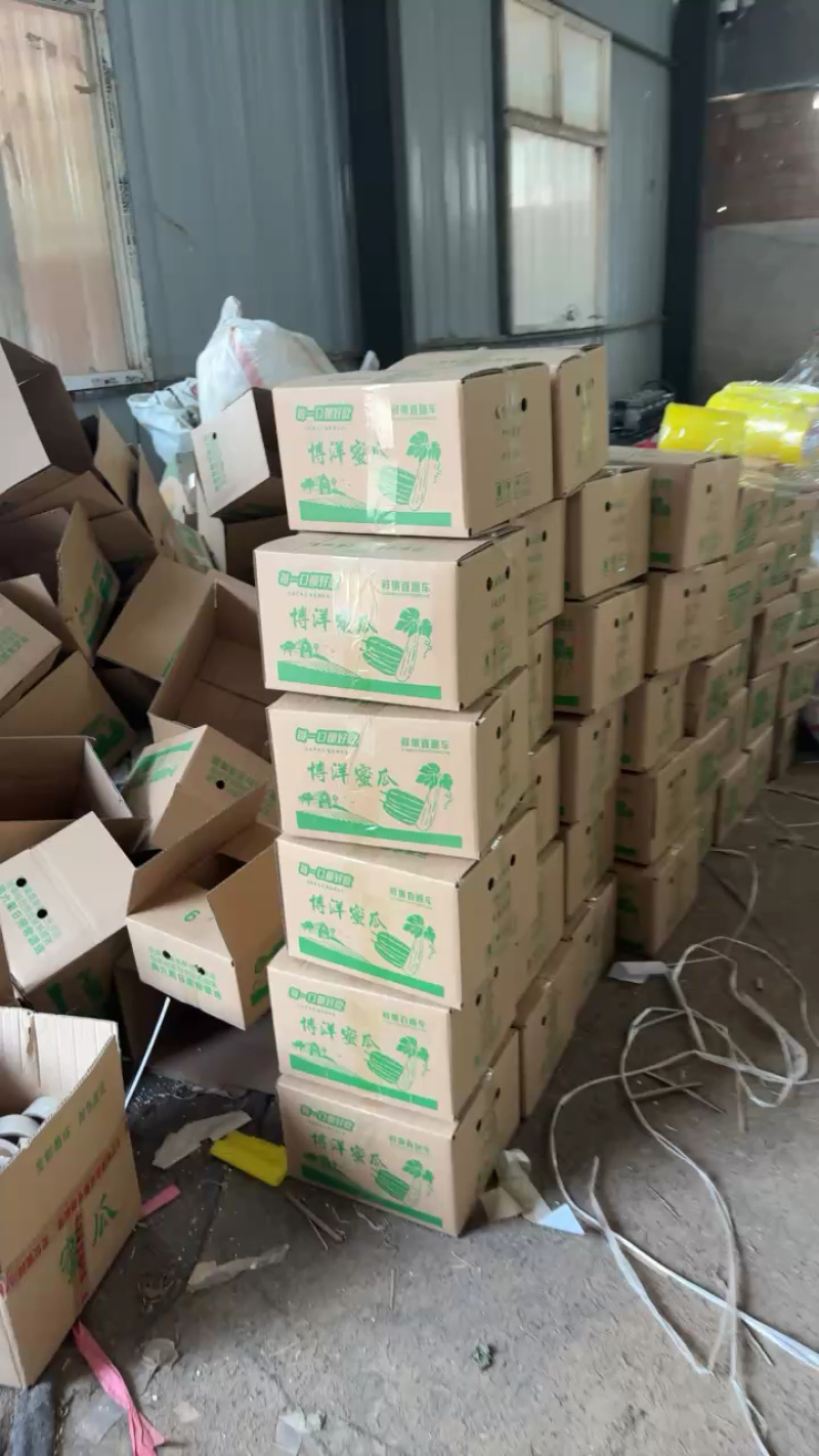 博洋九甜瓜大量现货，对接全平台电商多多仓