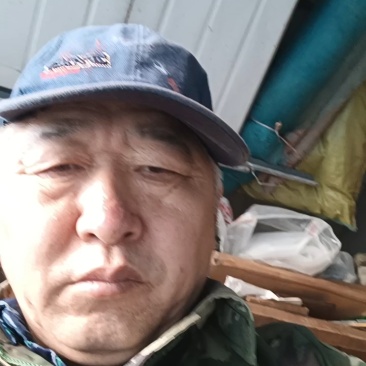 【推荐】野生猴头菇/一手货源/视频看货/量大优惠/欢迎咨