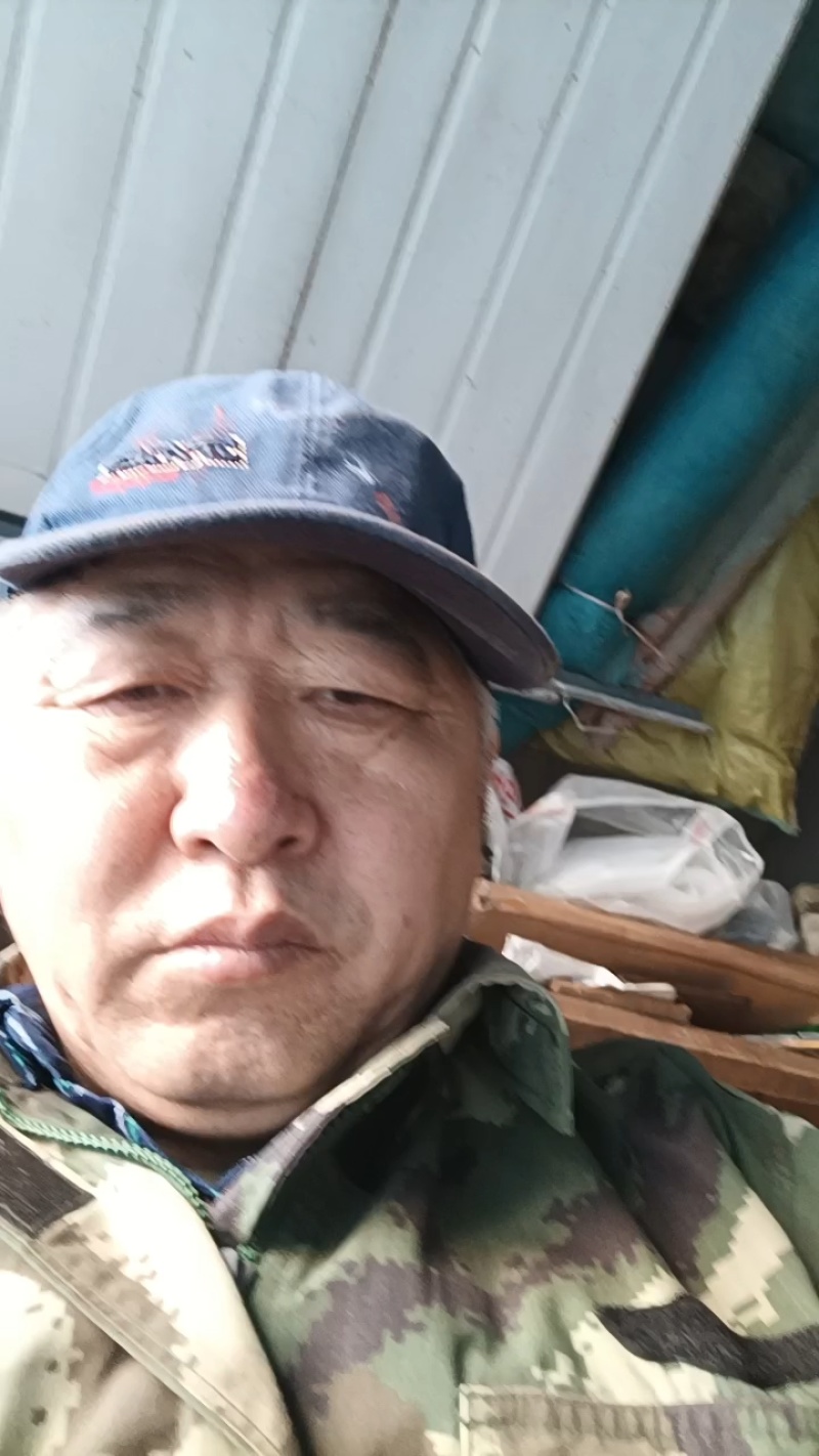 【推荐】野生猴头菇/一手货源/视频看货/量大优惠/欢迎咨