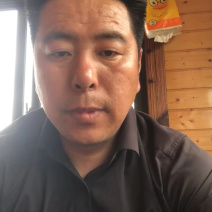 砀山早春红玉西瓜大量上市价格低，质量好，价格低成熟度高代发