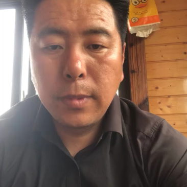 砀山早春红玉西瓜大量上市价格低,质量好,价格低成熟度高代发