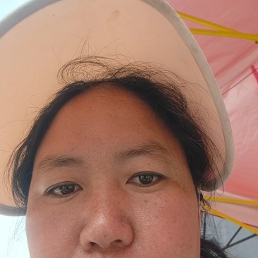 临沧百年老树茶叶