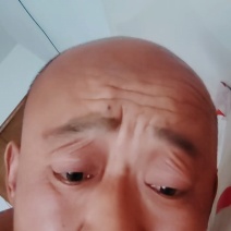 山东莘县大量供应花蕾甜瓜产地发货代发全国欢迎来考察