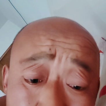 山东莘县大量供应花蕾甜瓜产地发货代发全国欢迎来考察
