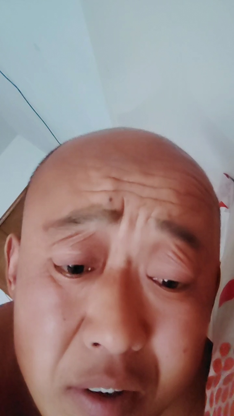 山东莘县大量供应花蕾甜瓜产地发货代发全国欢迎来考察