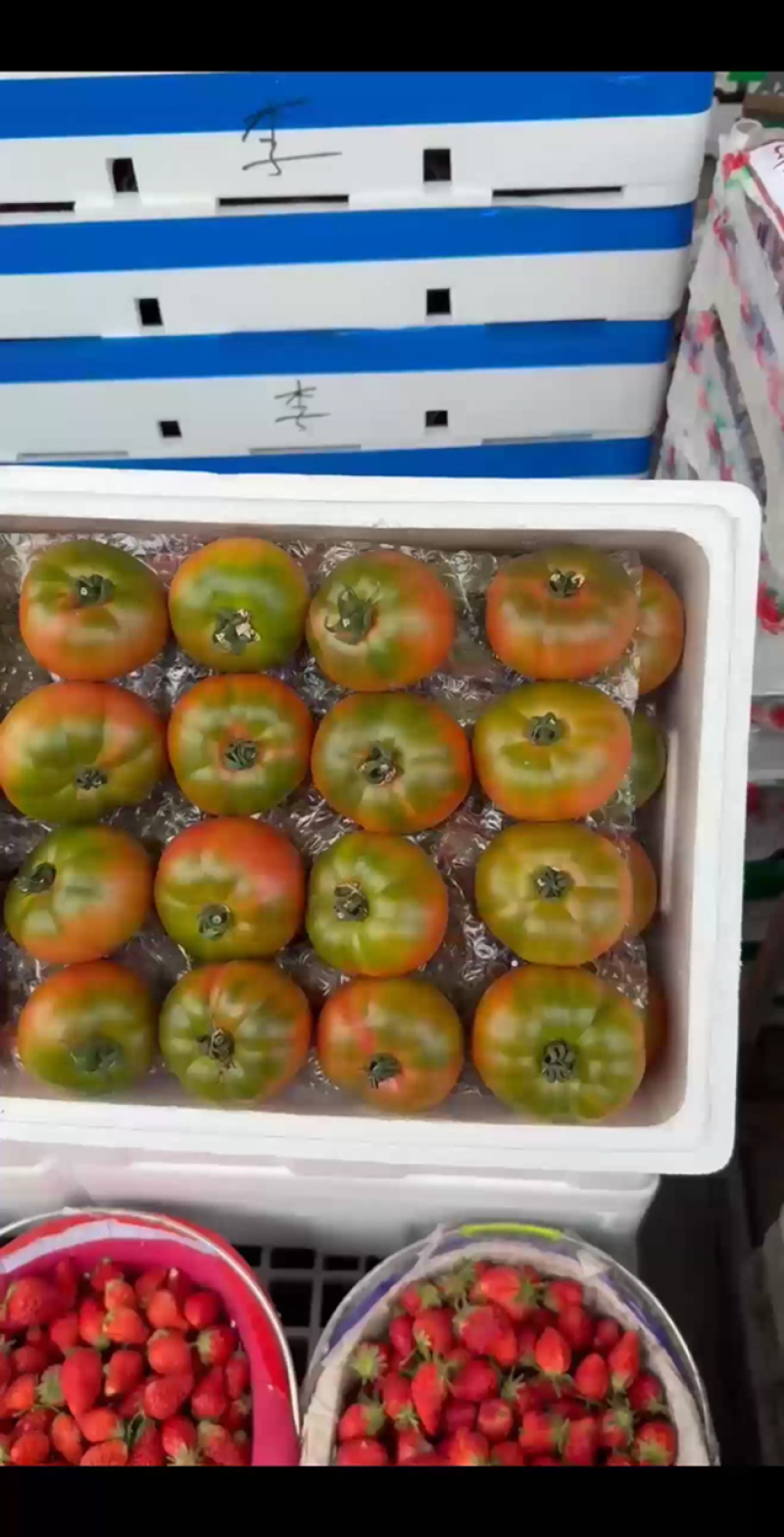 铁皮草莓柿子草莓西红柿供应市场商超电商