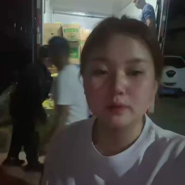 红皮萝卜大量上市，大量接单原产地直发对接各大平台