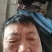 山东优质黄心土豆品种优良现挖现发质优价廉量大从优
