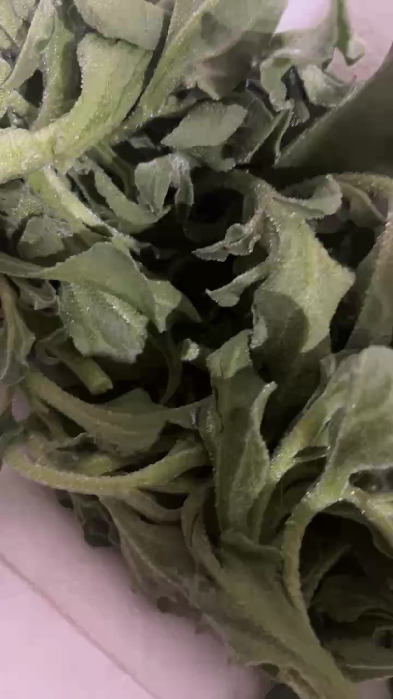 【精品冰草】山东新鲜冰草代发零售商商超拼多多