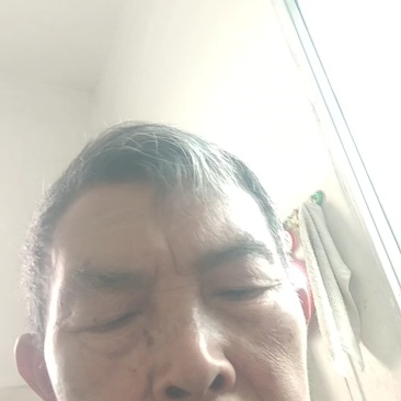 新品种蜂糖李，早熟蜂糖，端午节成熟。