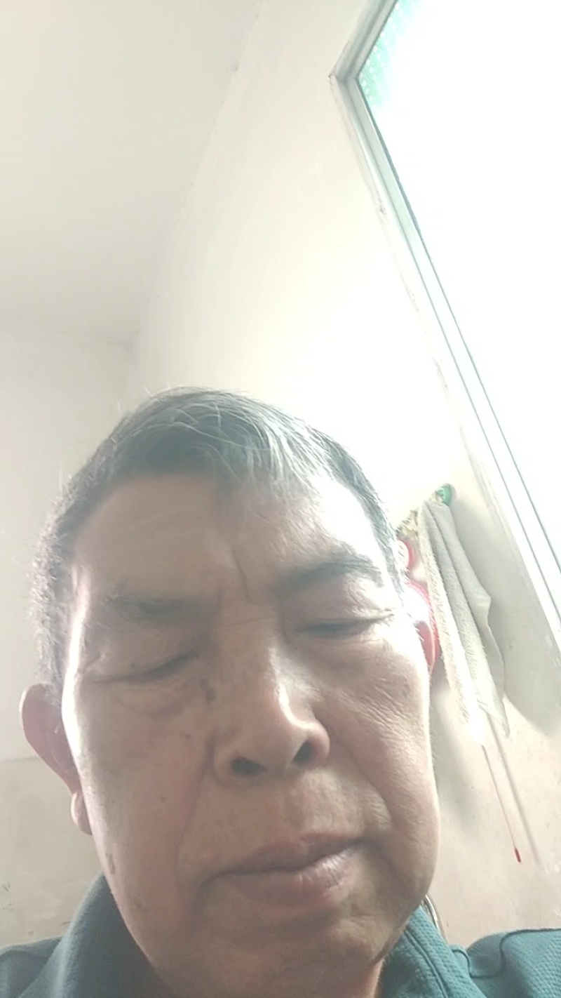新品种蜂糖李，早熟蜂糖，端午节成熟。