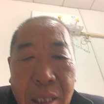 精品意大利生菜品质保证货量充足诚信经营