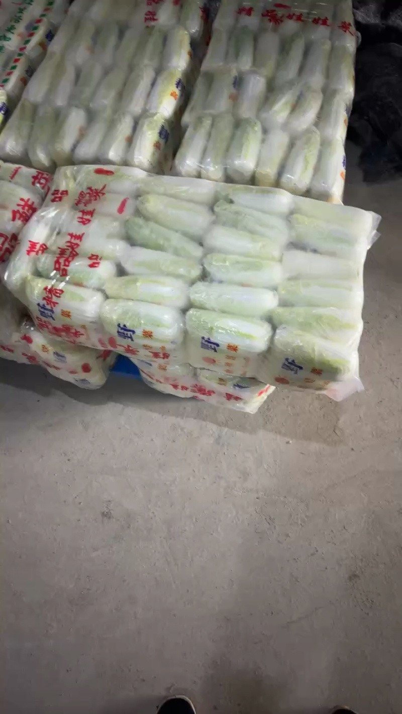 河南基地娃娃菜：市场【电商一件代发】量大从优、
