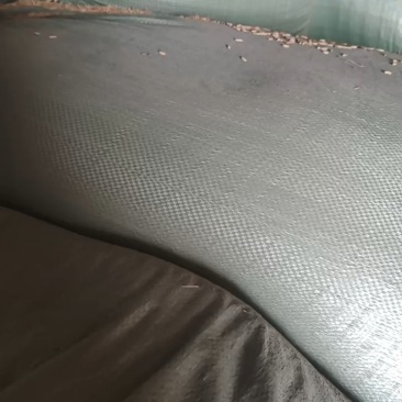 正宗五常稻花香2号大米产地直销保质保量保真