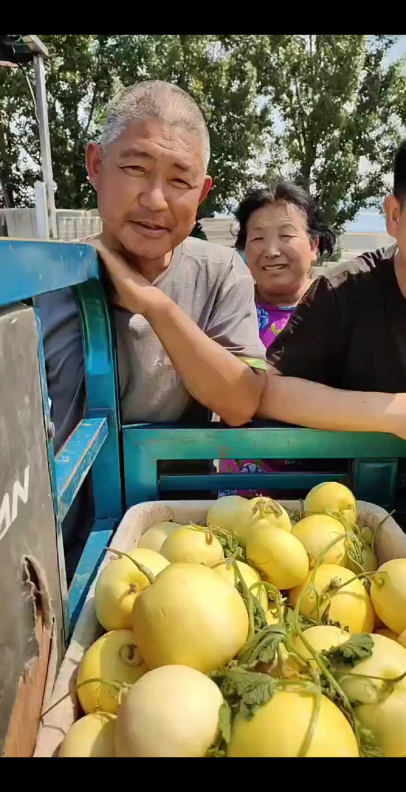 【实力推荐】山东精品星甜20产地直发对接市场档口一手货源
