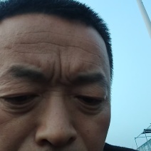 白玉山药豆大量有货基地直供品质优新鲜可视频看货热卖中