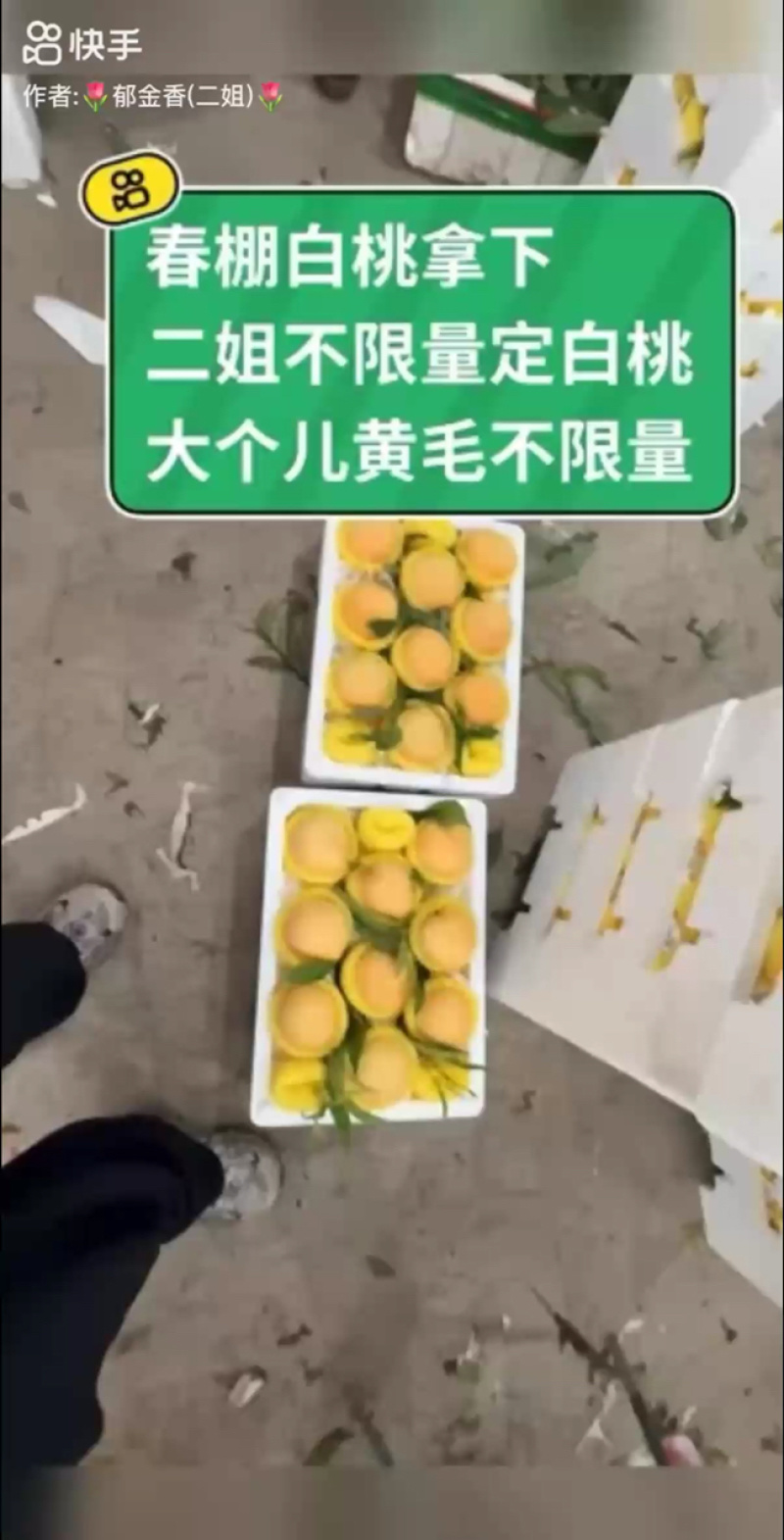 白凤白桃产地直供对接全国大量有货保质保量