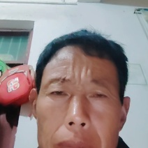 皇冠梨大量上市，色泽好，糖度高，价格低。