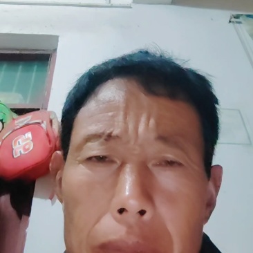 皇冠梨大量上市，色泽好，糖度高，价格低。