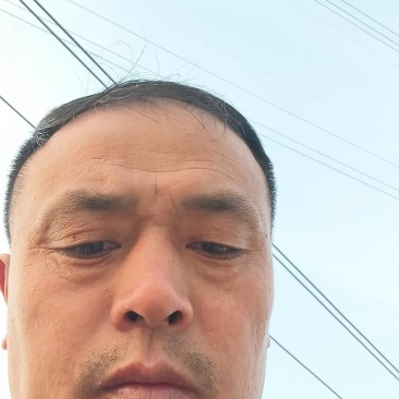 砀山梨甘甜汁多，色泽亮白，百年老树梨。果面干净品质更好