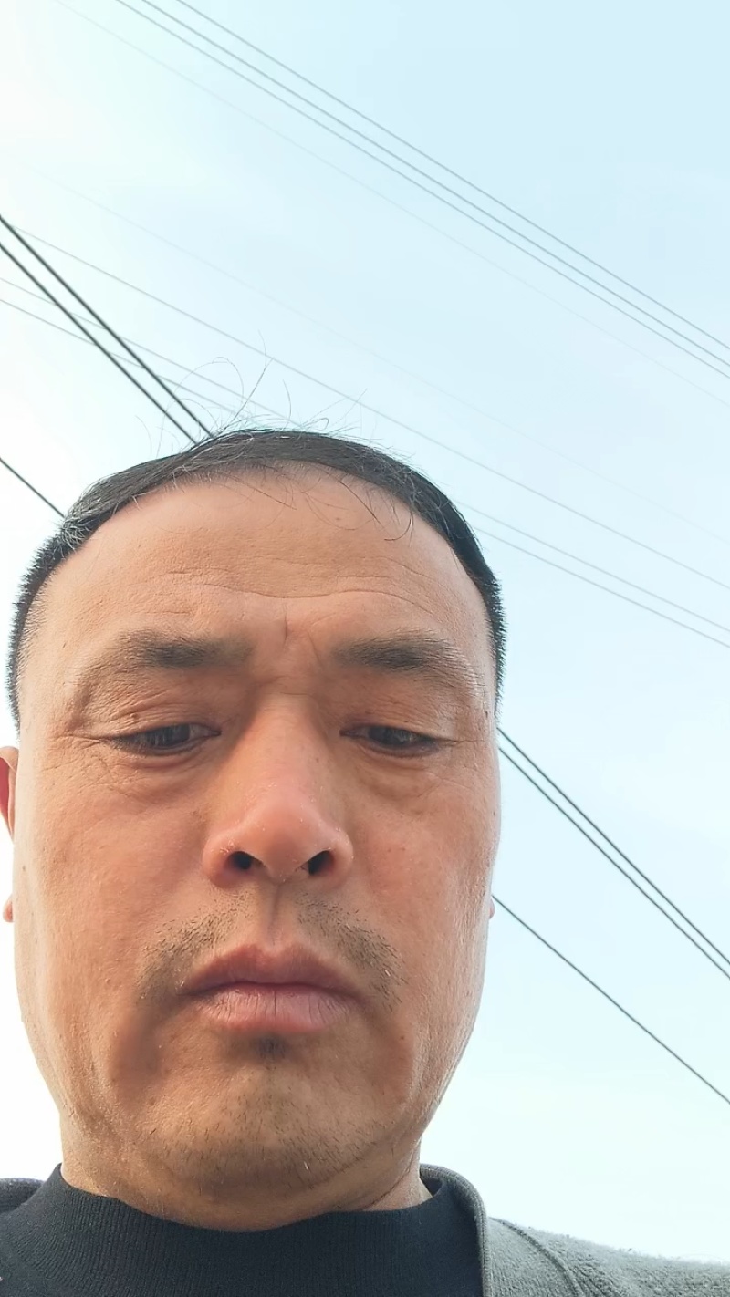 砀山梨甘甜汁多，色泽亮白，百年老树梨。果面干净品质更好