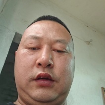 《精品》油桃产地供货一手货源，可代发，可接商超市场出口