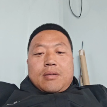 绥中黄元帅！大个干净白！