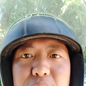 四川蓬溪优质高产甘蓝包菜