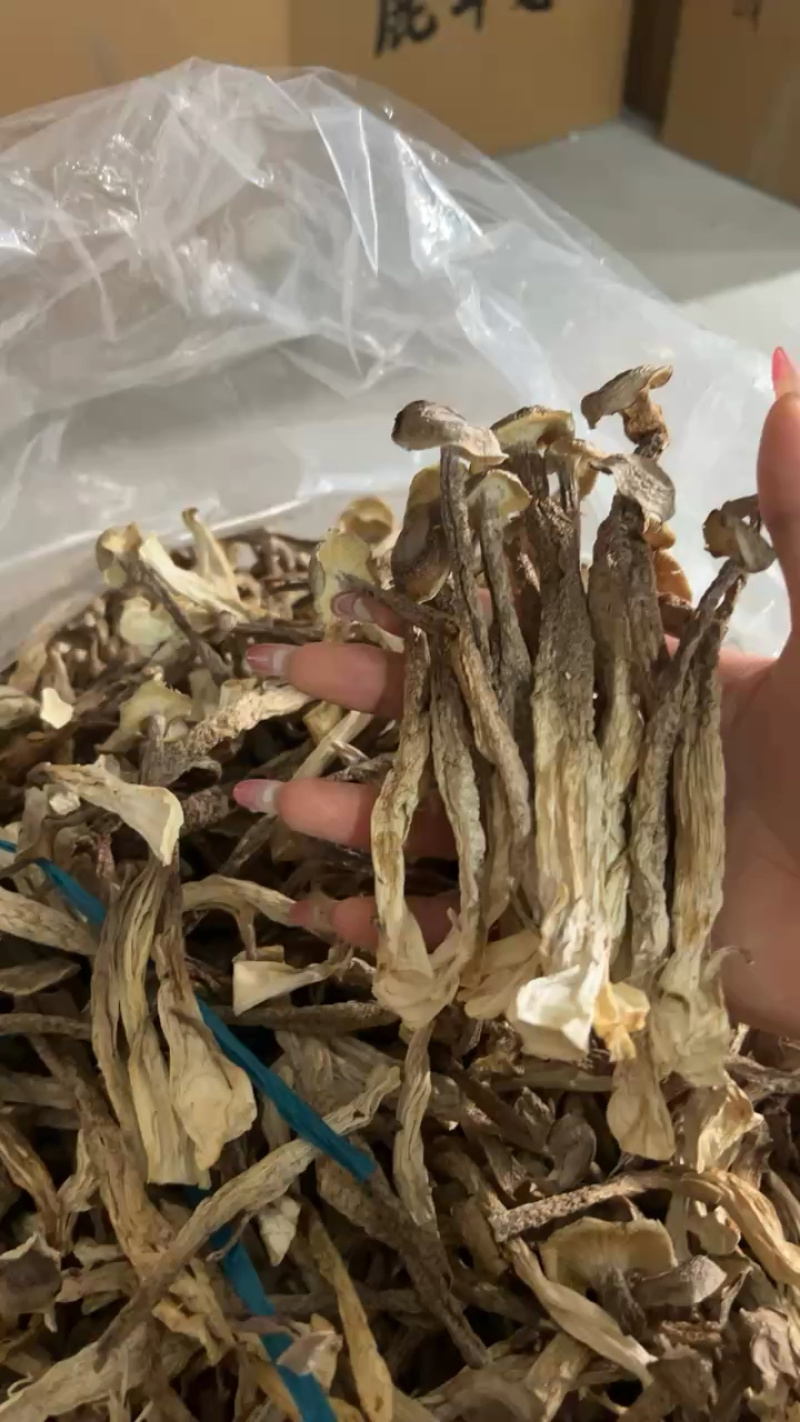 鹿茸菇干货厂家直销无硫新货肉质肥厚煲汤炒菜鲜香美味