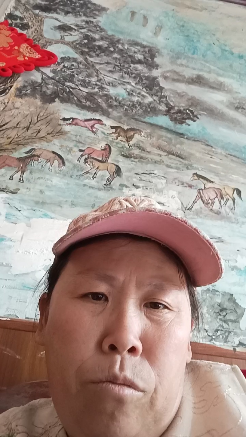 油蟠脆枣【蟠枣苗】支持视频看货，可发往全国市场！