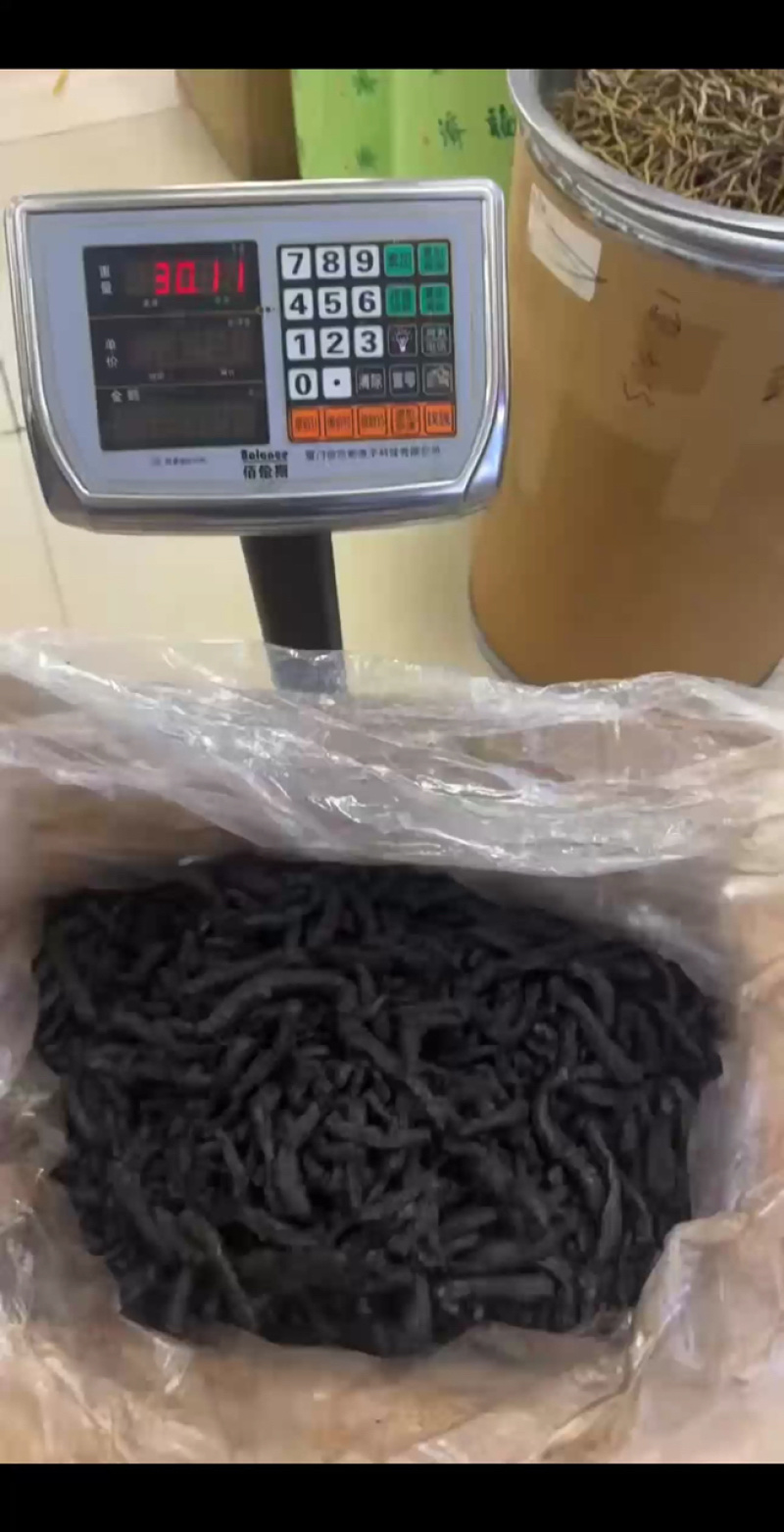 30斤玉竹大个，特别漂亮！