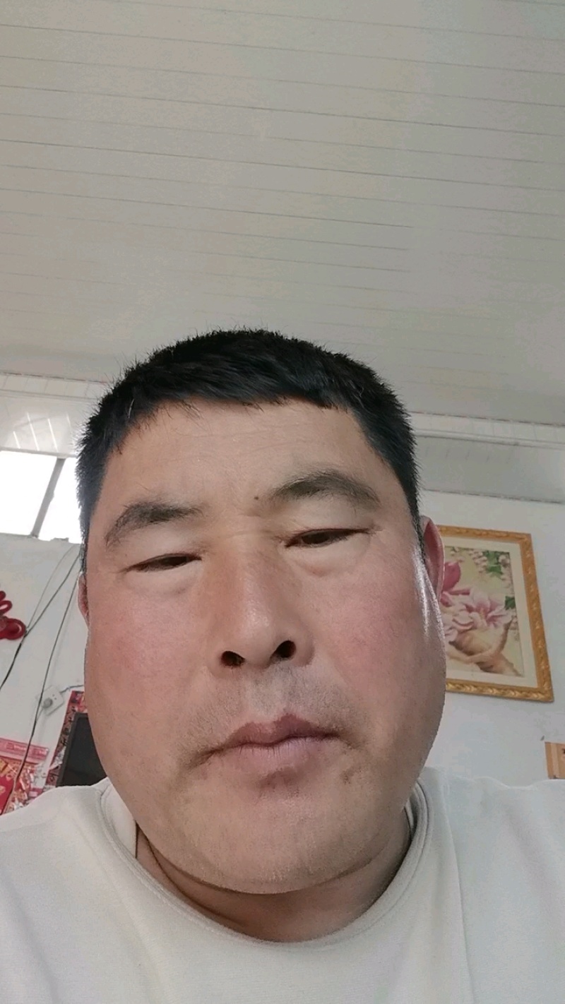 莴苣品质保证服务周到产地直发价格美丽一手货源欢迎咨询