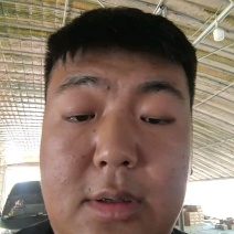 山东贝贝南瓜，每天固定15w！爆粉！板栗味！品质保证！