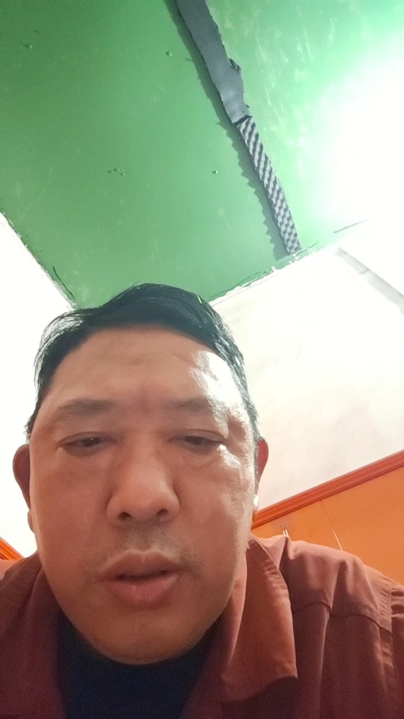 优质纯杉木炭