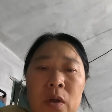 【一手货源】黑龙江椴树蜜蜂农直供量大价优欢迎咨询合作
