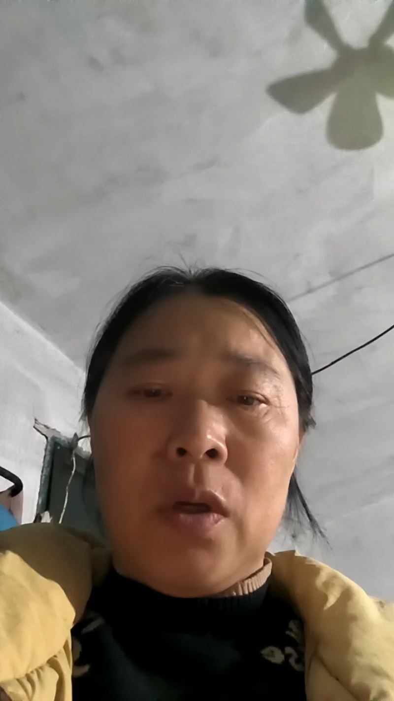 【一手货源】黑龙江椴树蜜蜂农直供量大价优欢迎咨询合作
