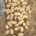 冮苏丰县土豆黄心土豆沃土5号实验一货源充足价格