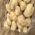 冮苏丰县土豆黄心土豆沃土5号实验一货源充足价格