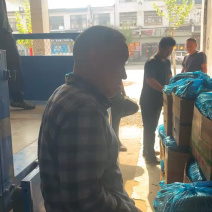 【干花带刺】精品黄瓜一手货源万亩大棚需要联系量大