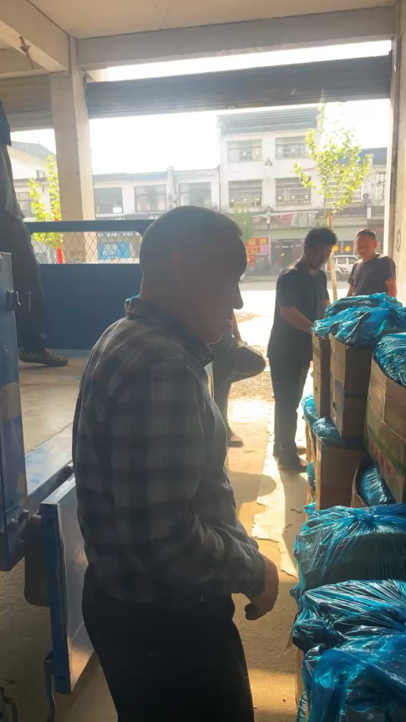【干花带刺】精品黄瓜一手货源万亩大棚需要联系量大