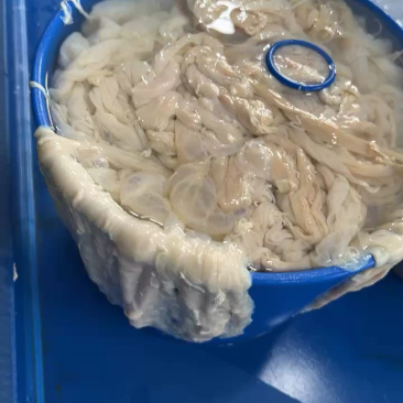 猪肠衣批发十二路水煮猪肠衣灌粉肠香肠手掰肠